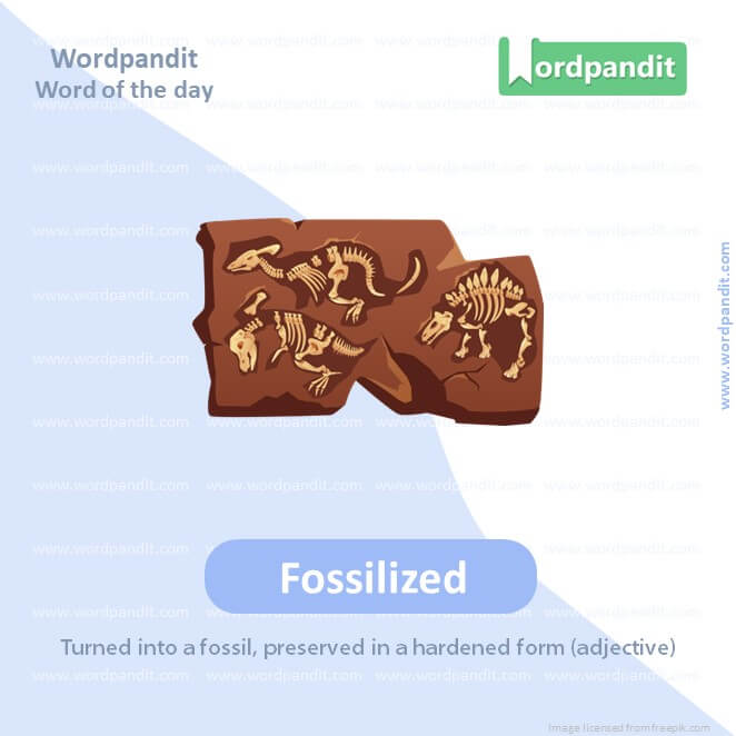Fossilized Picture Vocabulary