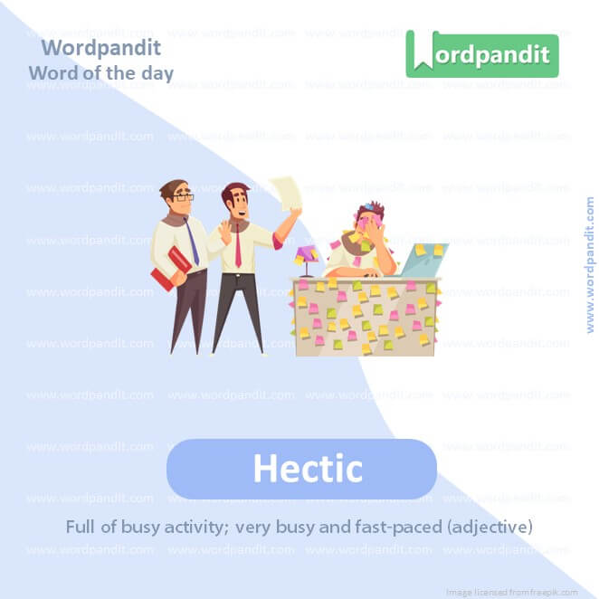 Hectic Picture Vocabulary