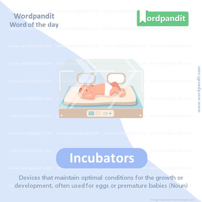 Incubators Picture Vocabulary