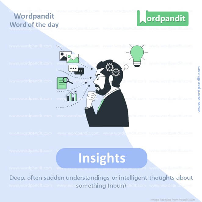 Insights Picture Vocabulary