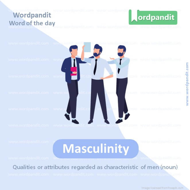 Masculinity Picture Vocabulary