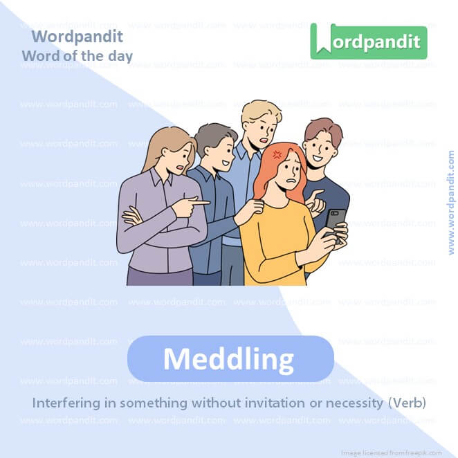 Meddling Picture Vocabulary