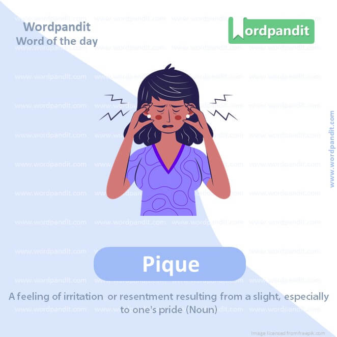 Pique Picture Vocabulary