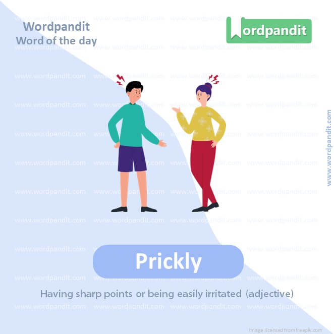 Prickly Picture Vocabulary