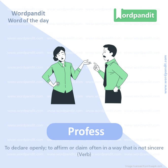 Profess Picture Vocabulary