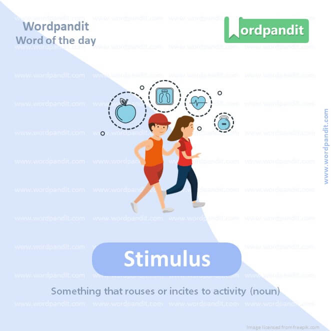 Stimulus Picture Vocabulary