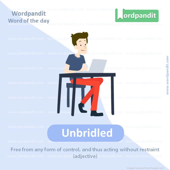 Unbridled Picture Vocabulary