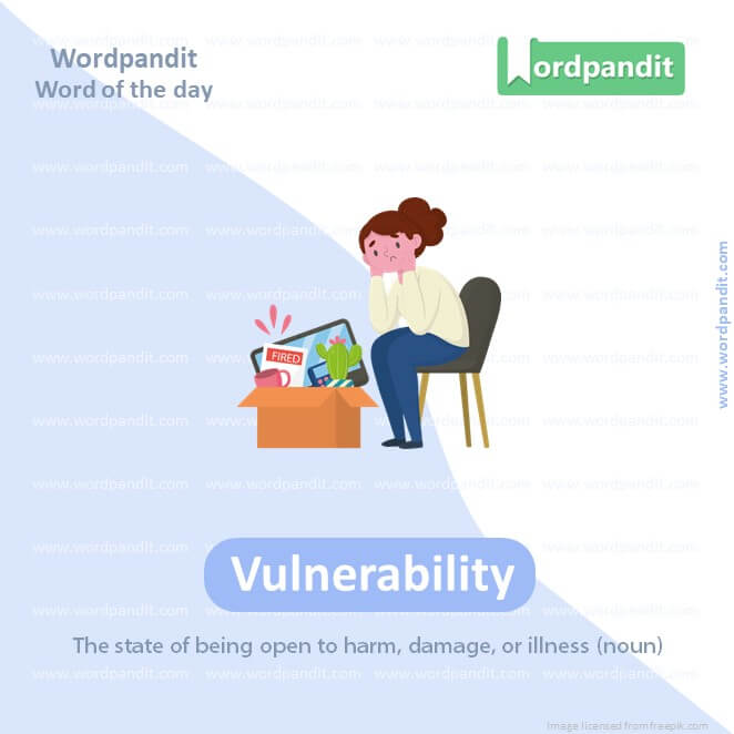 Vulnerability Picture Vocabulary