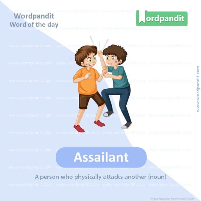 Assailant Picture Vocabulary