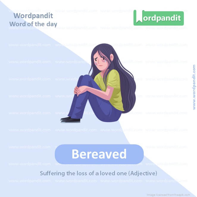 Bereaved Picture Vocabulary