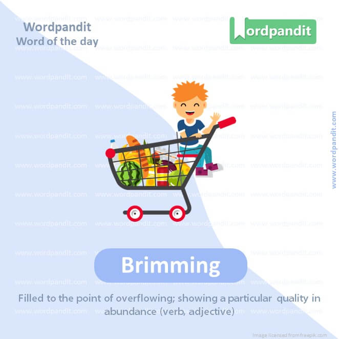 Brimming Picture Vocabulary