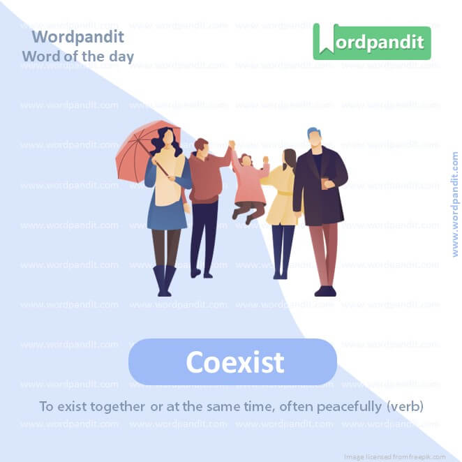 Coexist Picture Vocabulary