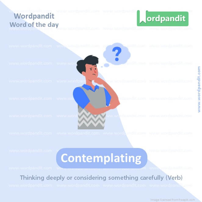 Contemplating Picture Vocabulary