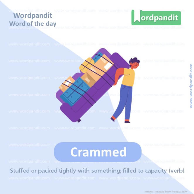 Crammed Picture Vocabulary