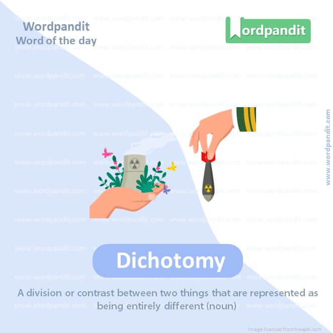 Dichotomy Picture Vocabulary
