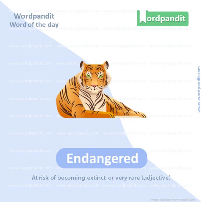Endangered Picture Vocabulary