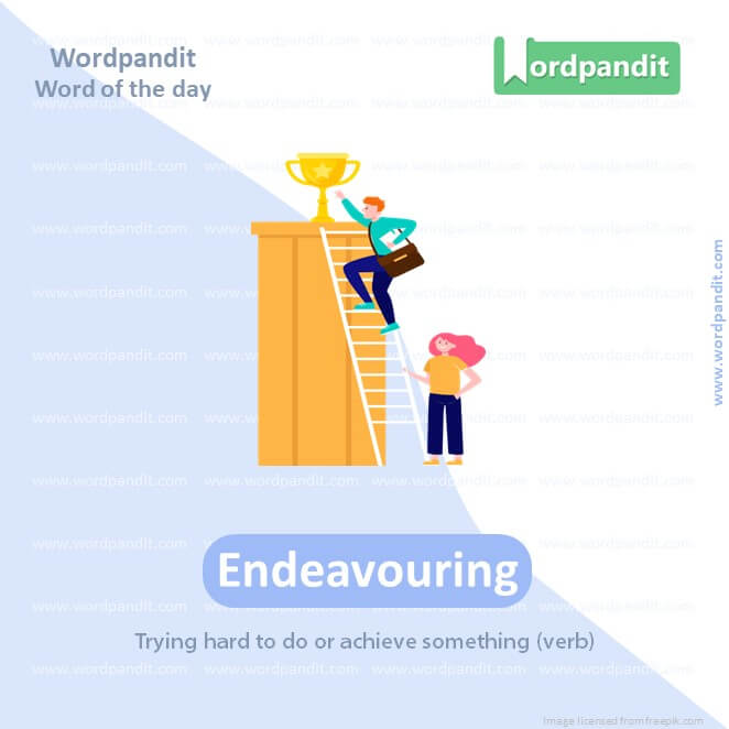 Endeavouring Picture Vocabulary