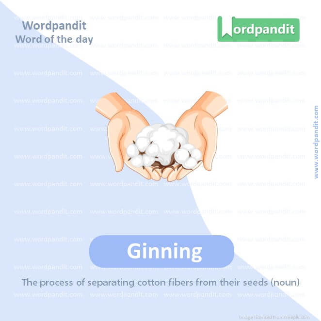 Ginning Picture Vocabulary