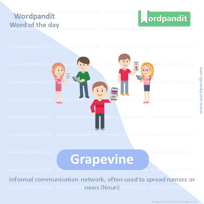 Grapevine Picture Vocabulary