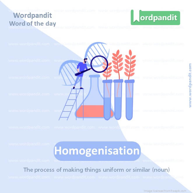 Homogenisation Picture Vocabulary