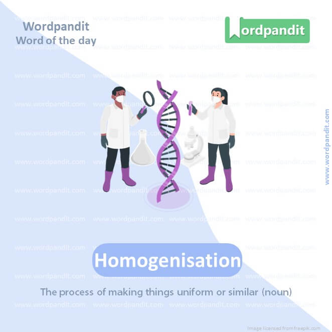 Homogenisation Picture Vocabulary
