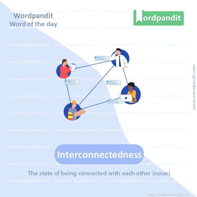 Interconnectedness Picture Vocabulary