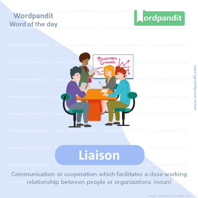 Liaison Picture Vocabulary