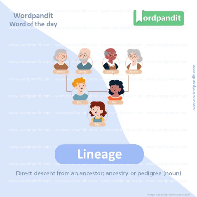 Lineage Picture Vocabulary