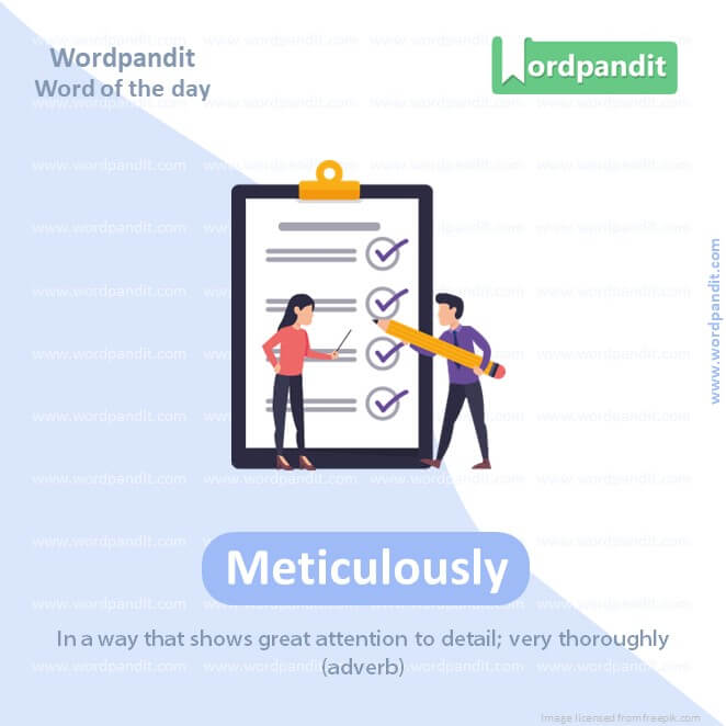 Meticulously Picture Vocabulary