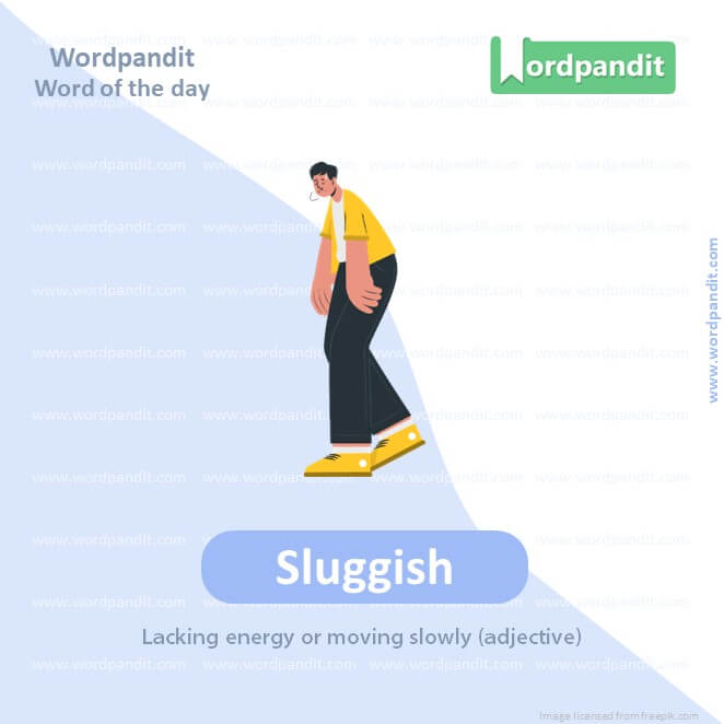 Sluggish Picture Vocabulary