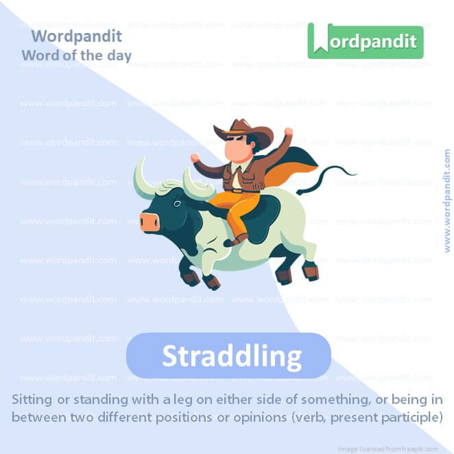 Straddling Picture Vocabulary