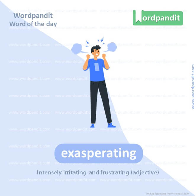 Exasperating Picture Vocabulary