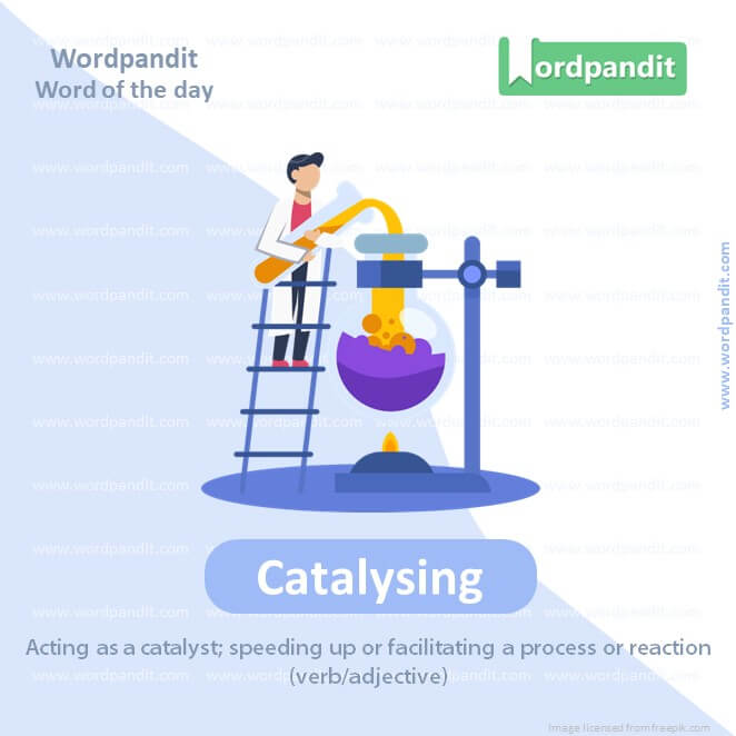 Catalysing Picture Vocabulary