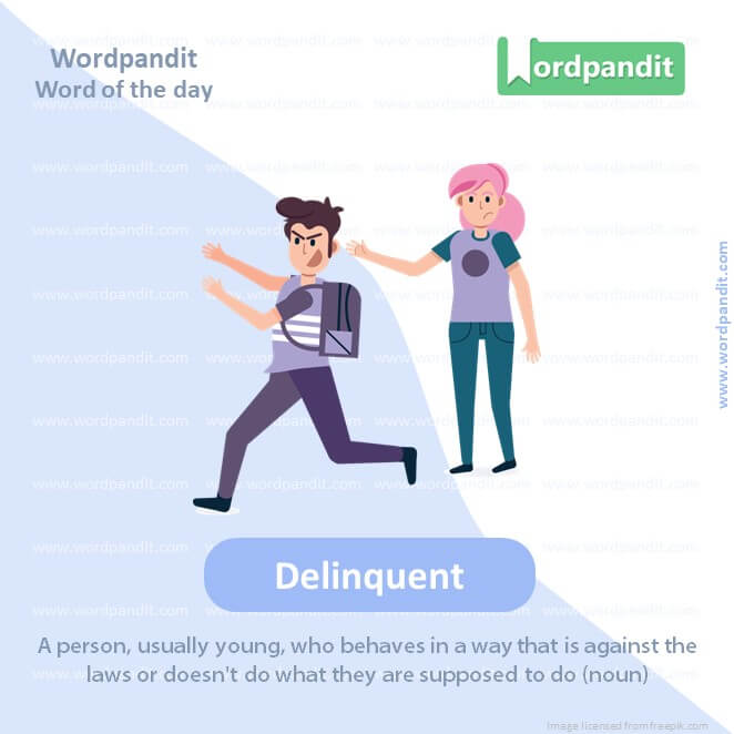 Delinquent Picture Vocabulary