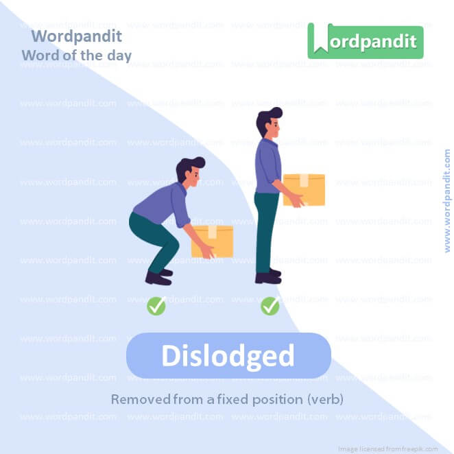 Dislodged Picture Vocabulary