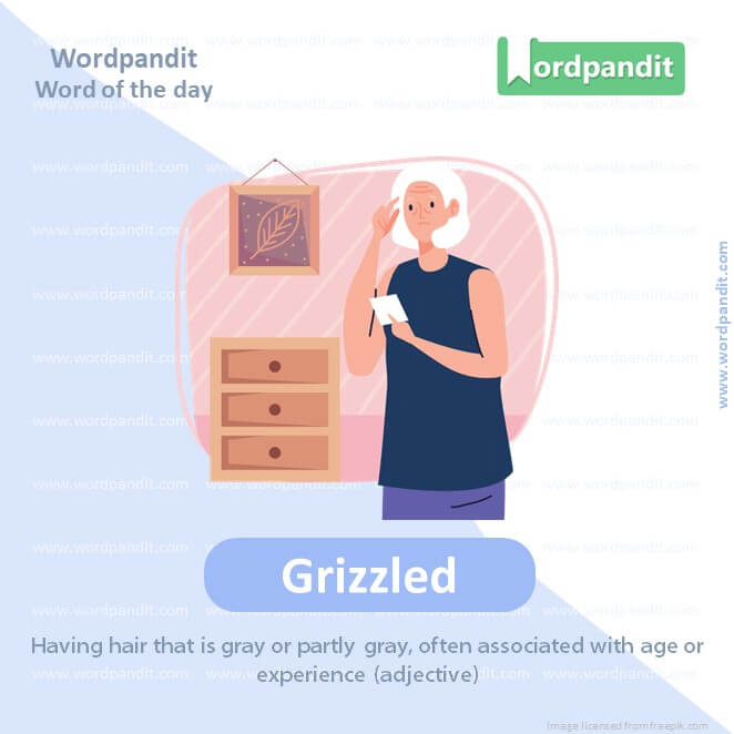 Grizzled Picture Vocabulary