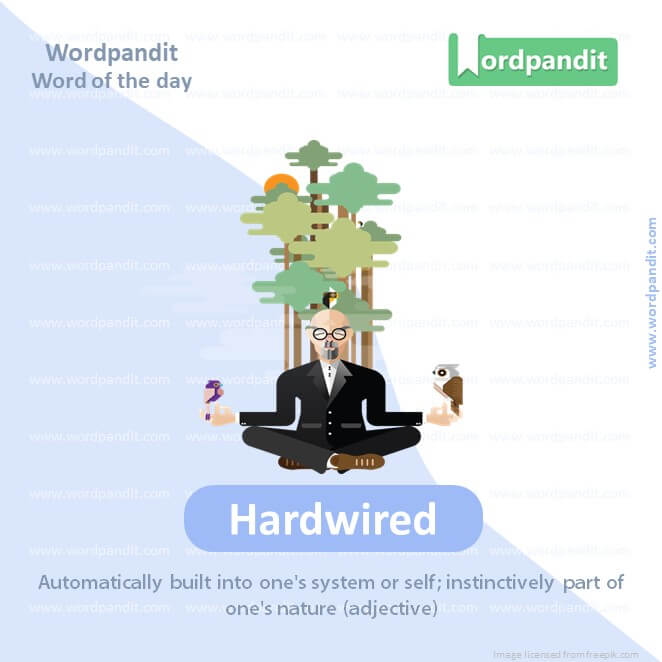 Hardwired Picture Vocabulary