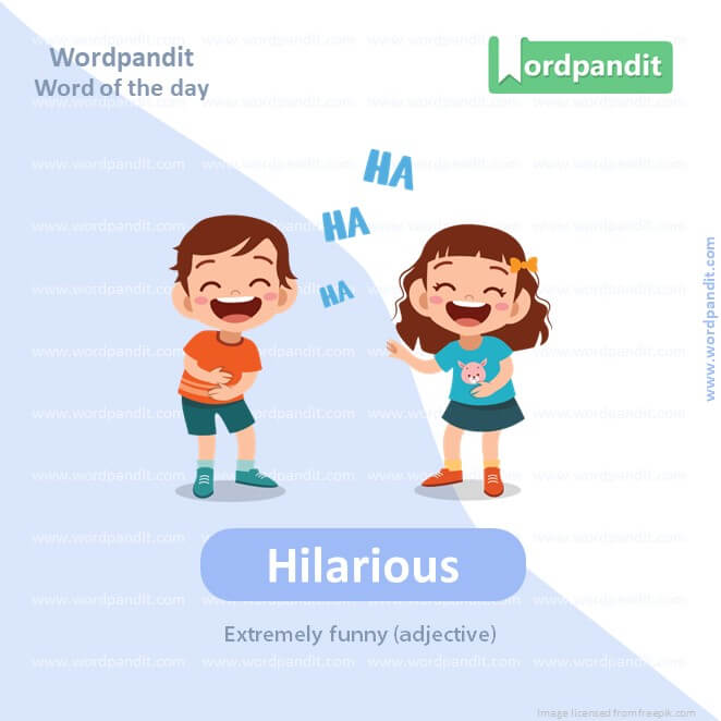 Hilarious Picture Vocabulary