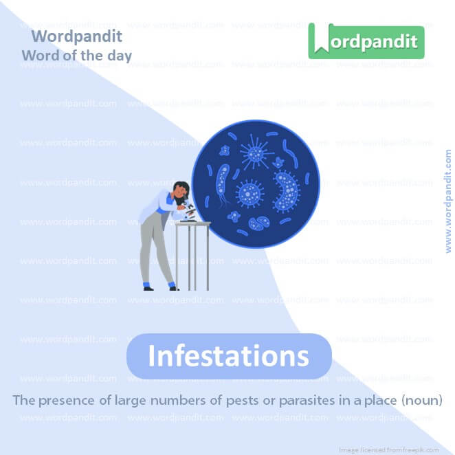 Infestations Picture Vocabulary