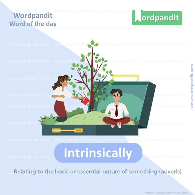 Intrinsically Picture Vocabulary