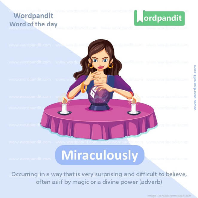 Miraculously Picture Vocabulary