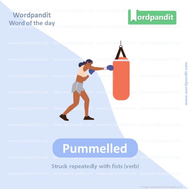 Pummelled Picture Vocabulary