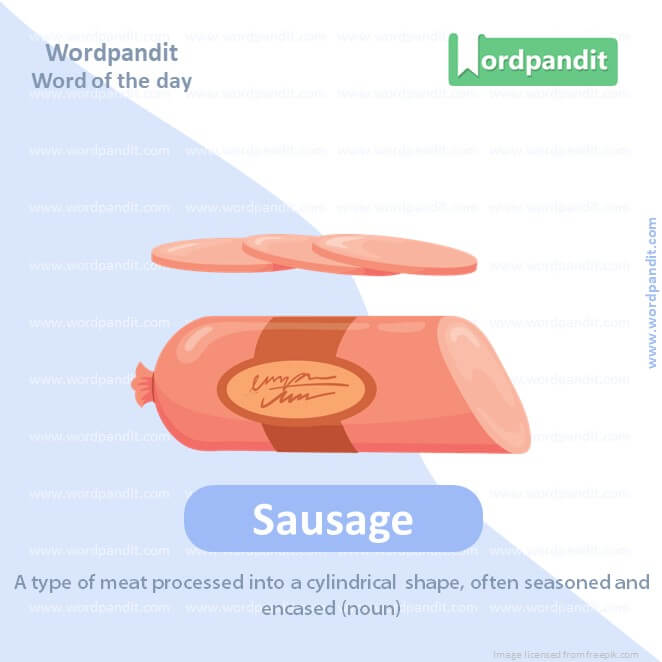 Sausage Picture Vocabulary