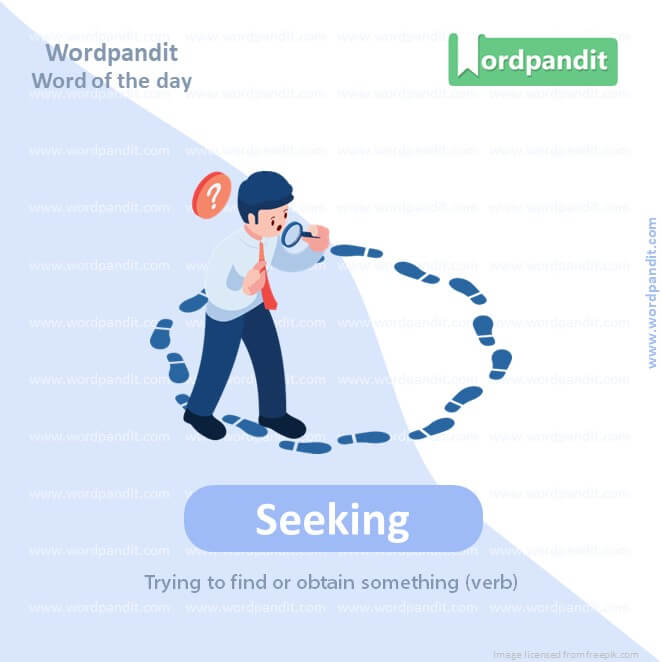 Seeking Picture Vocabulary