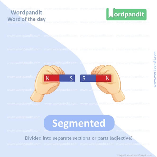 Segmented Picture Vocabulary