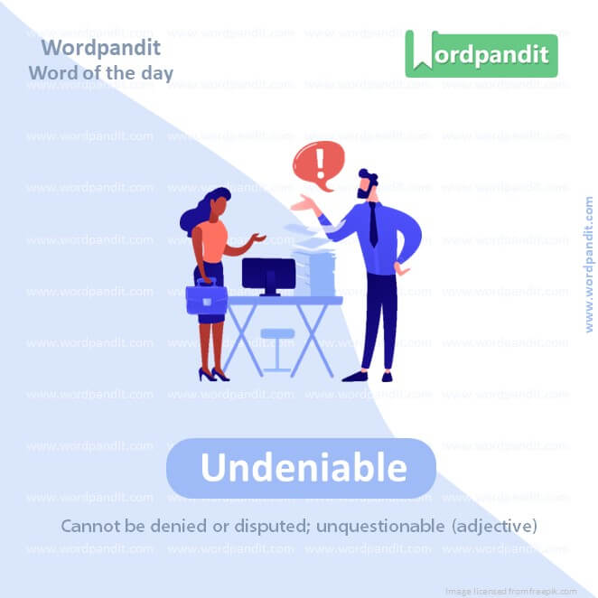 Undeniable Picture Vocabulary