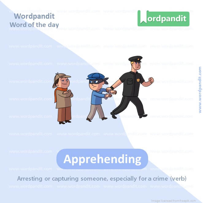 Apprehending Picture Vocabulary