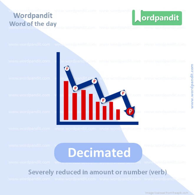 Decimated Picture Vocabulary