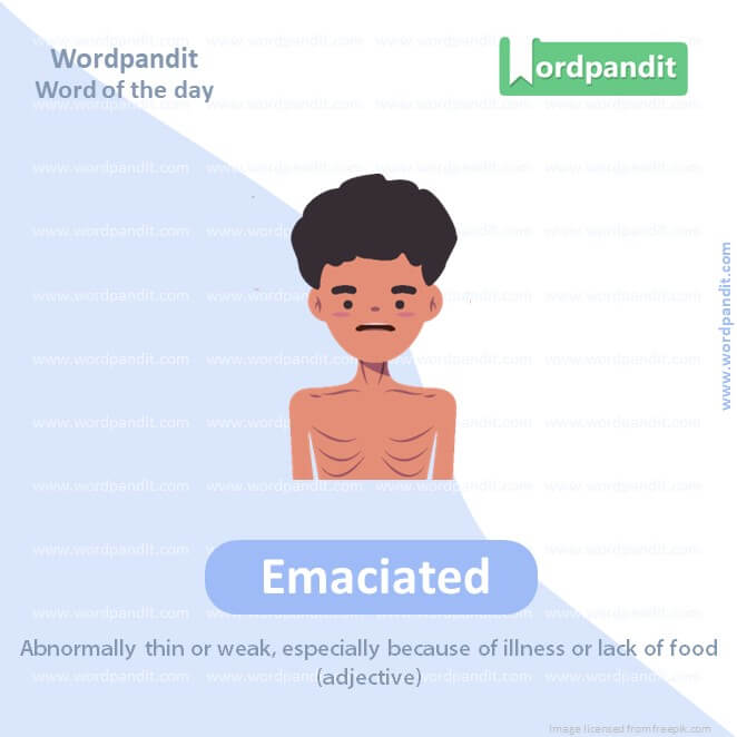 Emaciated Picture Vocabulary