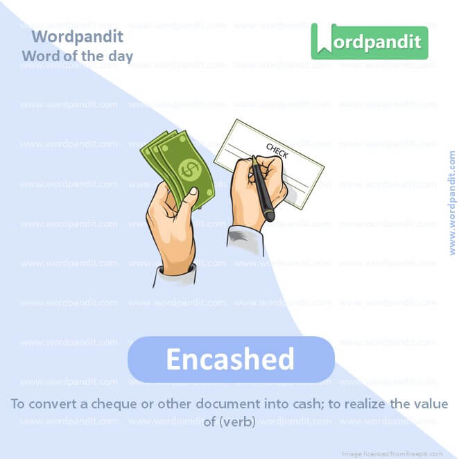 Encashed Picture Vocabulary